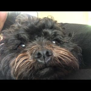 Meet your Posher, Lena